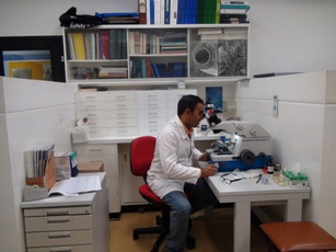 Diagnostic test at Vet at Home Diagnostic test at Vet at Home